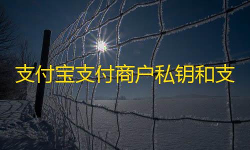 获取教程支付宝支付支付宝公钥商户私钥和